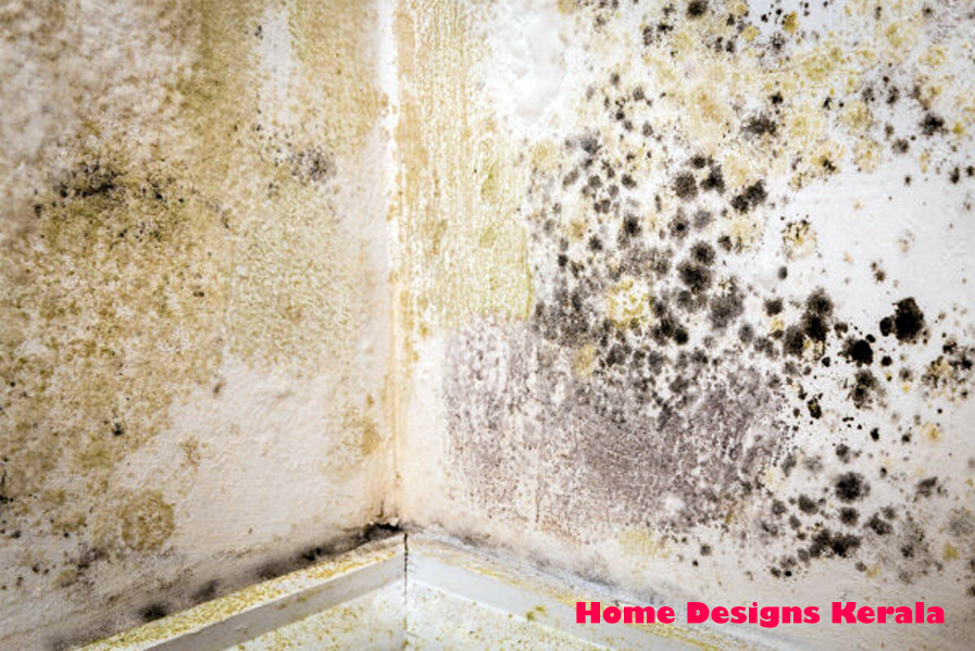 What is Damp Proof Waterproofing