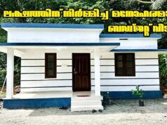 Low Budjet Home Plan & Home Tour Video Low Budjet Home